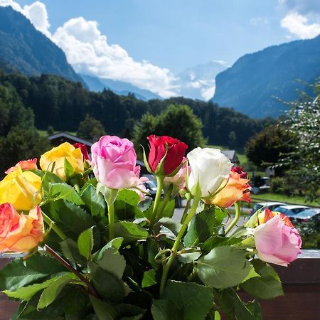Jungfrau Hotel Annex Alpine-Inn Wilderswil Εξωτερικό φωτογραφία